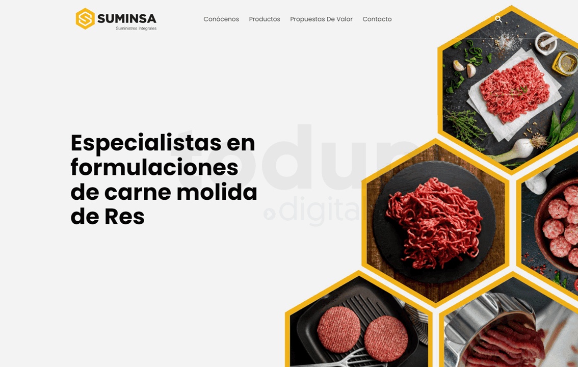 Plataforma web para SUMINSA