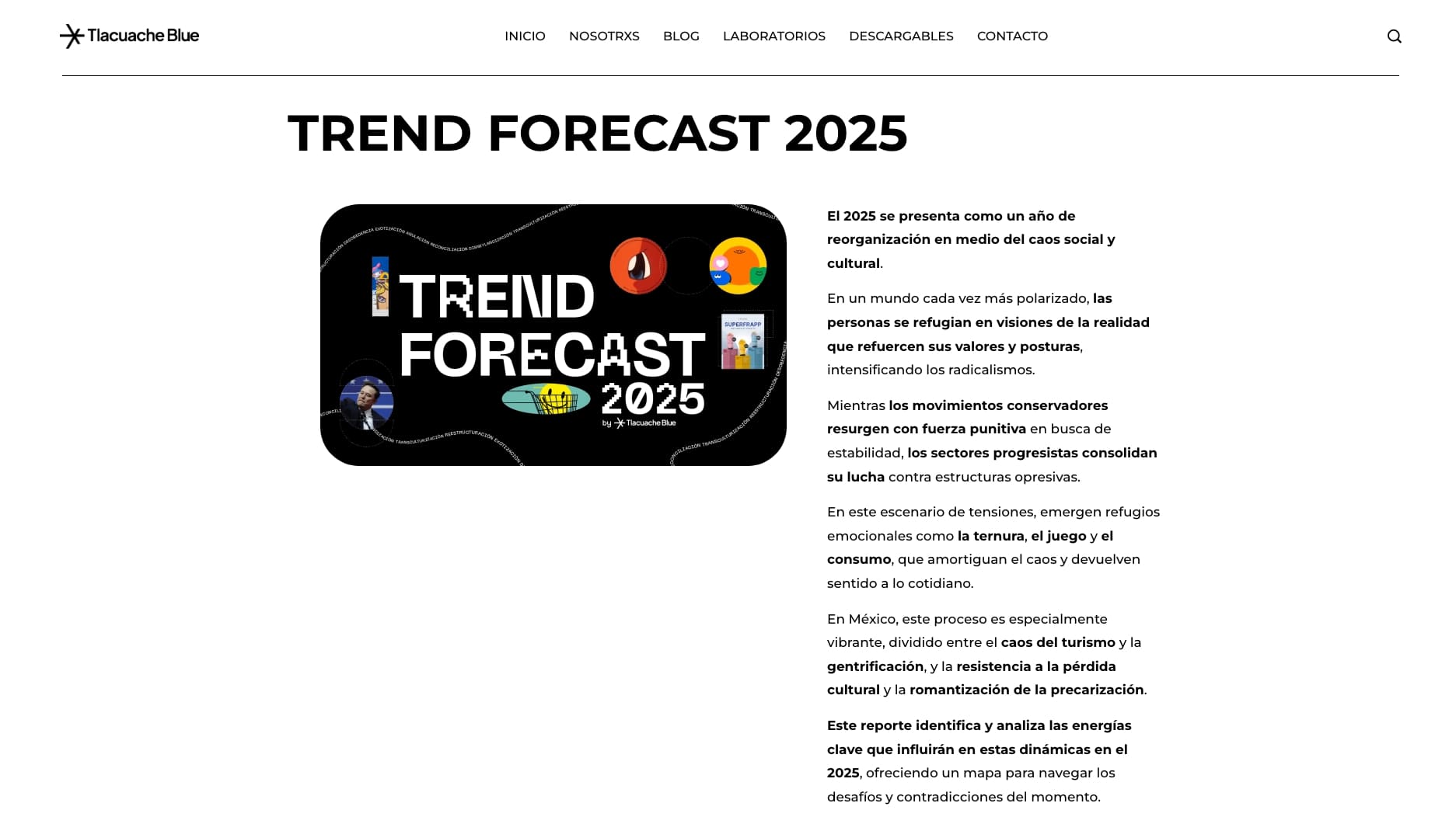 Rediseño web para Tlacuache Blue - Trend Forecast